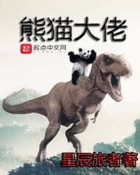 熊猫打老虎视频