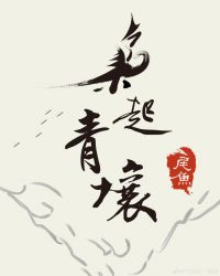枭起青壤小说在线听